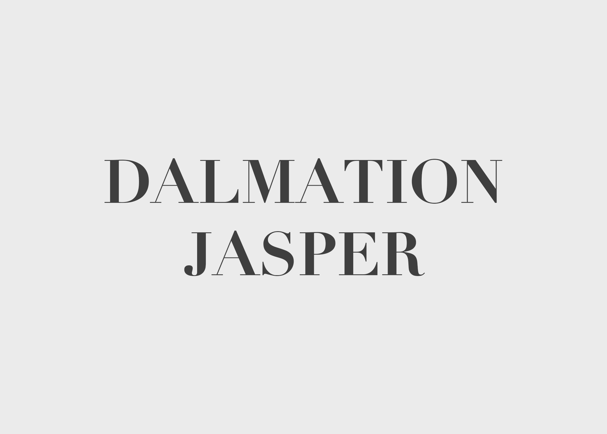 Dalmatian Jasper: A Guide to Its Beauty and Properties